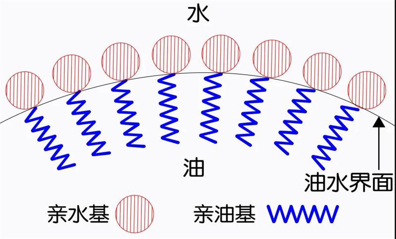 吕丽琴 | 清洁用品中起重要作用的表面活性剂,四季莱源带你了解更多